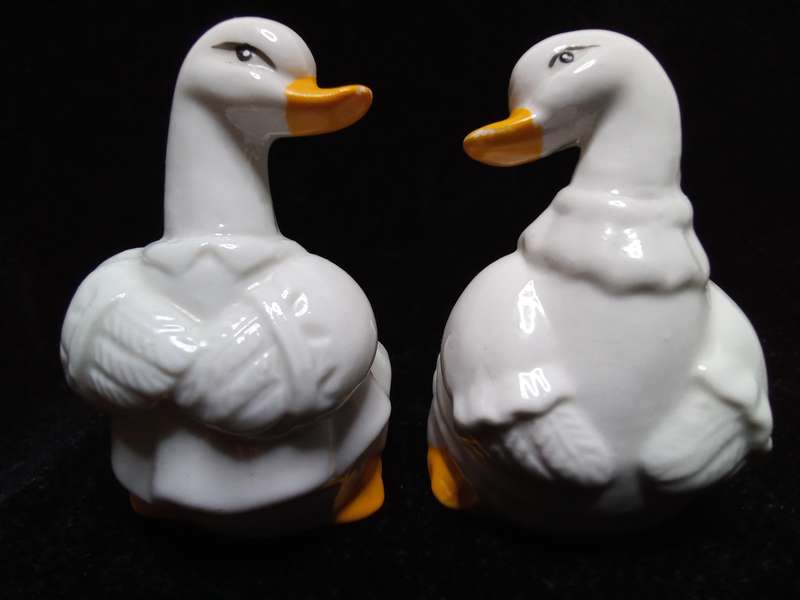 Pretty vintage duck Salt and Pepper set