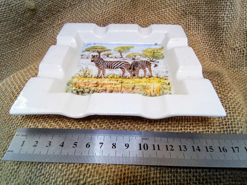 What a find!  A lovely vintage Drostdy ware "Willem Pretorius Wildtuin" ashtray