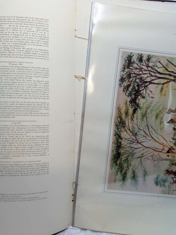 Thomas Baines Water Colours - Akwarelle