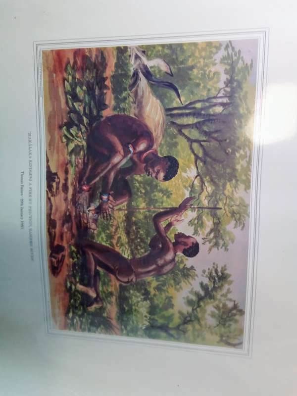 Thomas Baines Water Colours - Akwarelle