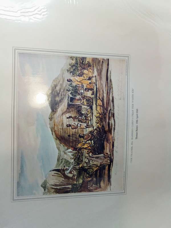 Thomas Baines Water Colours - Akwarelle