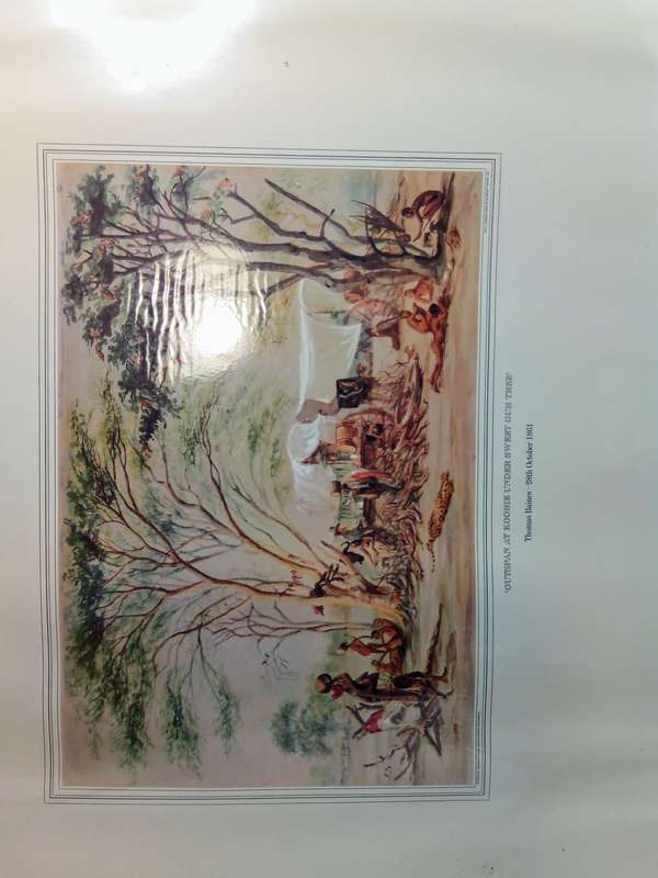 Thomas Baines Water Colours - Akwarelle