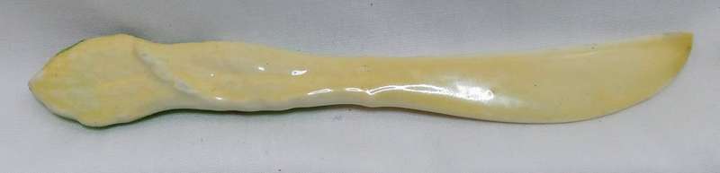 Stunning Carlton Ware Foxglove butter knife