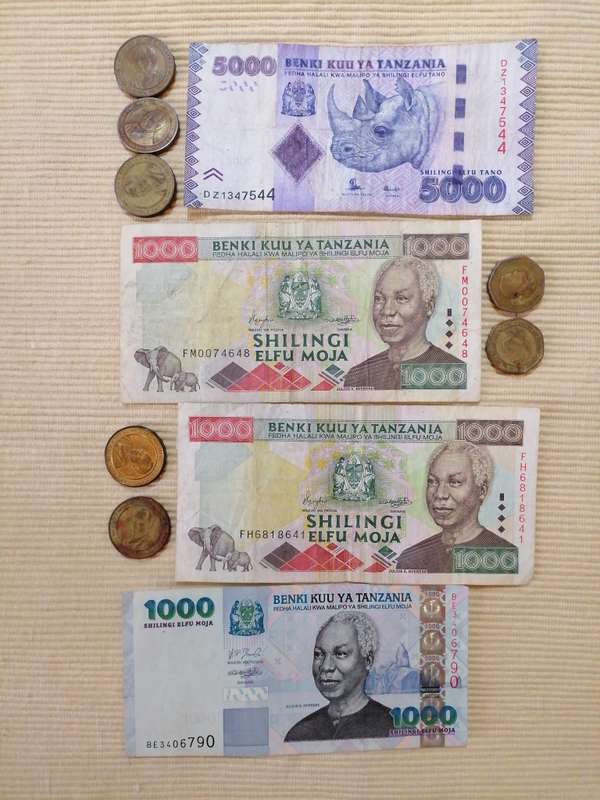 Tanzania Shillings Coins and Notes