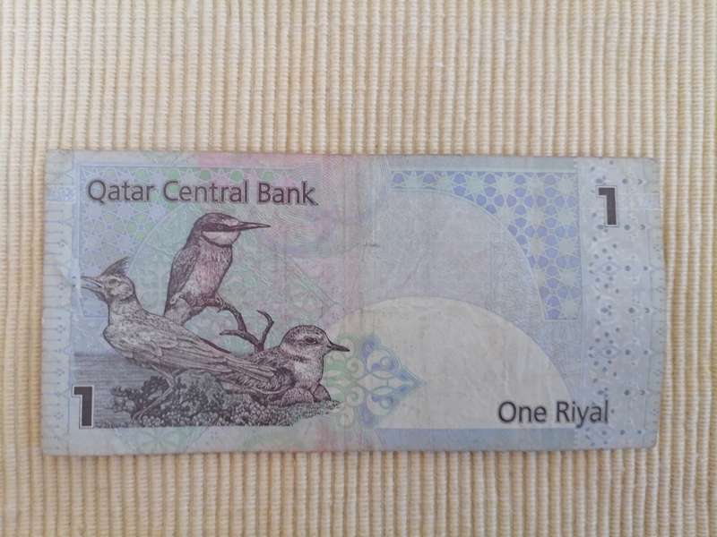 Qatar Central Bank 10  and 1 Riyals notes
