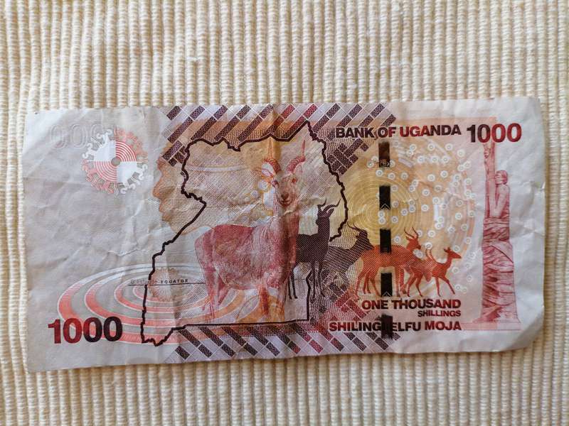 Africa Bank Notes