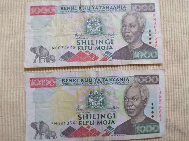 Tanzania Shillings Coins and Notes
