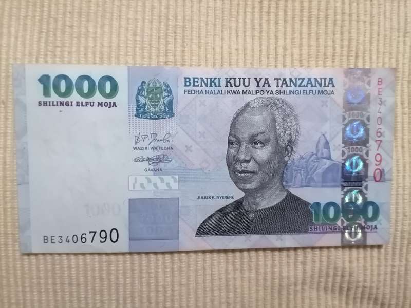 Tanzania Shillings Coins and Notes