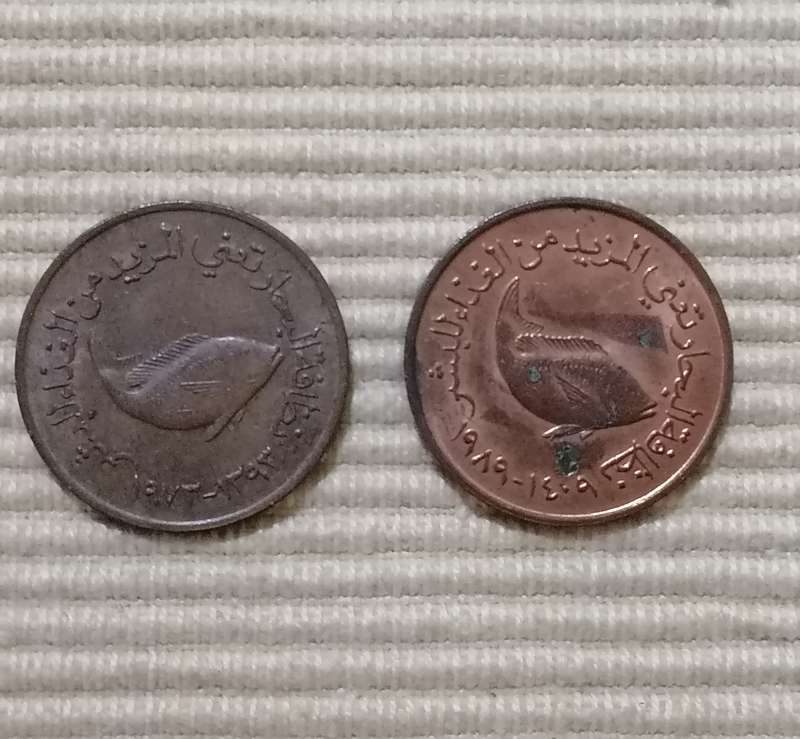 United Arab Emirates - Coin