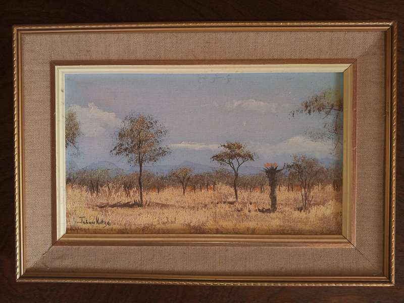 Johan Kotze Paintings (Signed)
