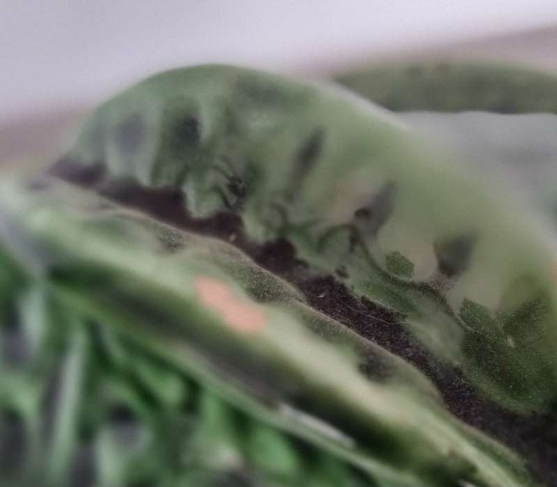 Bordallo Pinheiro Style Majolica Green Cauliflower/Cabbage Tureen.