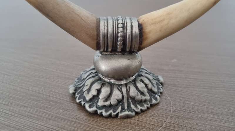 PAIR OF Antique Silver Taxidermy Tooth or Horn Knife Rests, Victorian Era