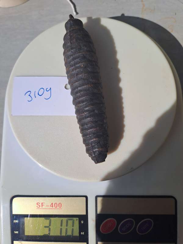 Cuckoo clock weight 310g