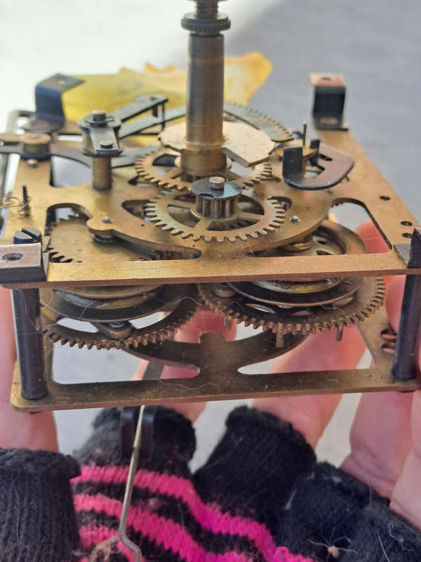 regula cuckoo clock movement