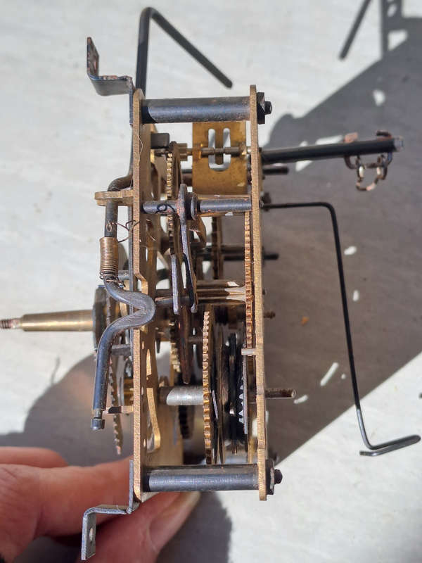 regula 25  cuckoo clock movement