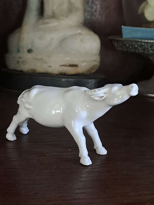 Blanc de Chine antique water buffalo