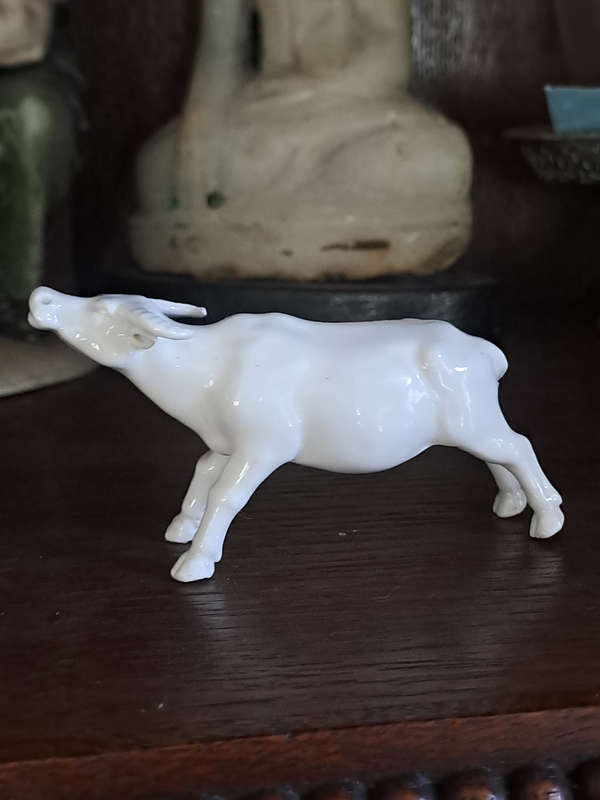 Blanc de Chine antique water buffalo