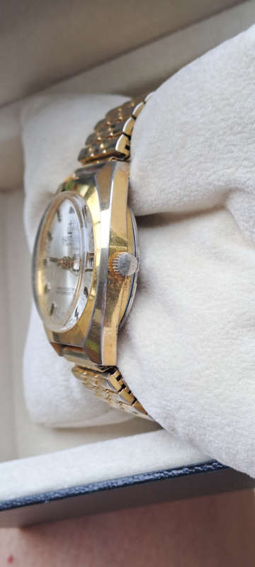 Santus 1970's 17 jewel Swiss mens watch