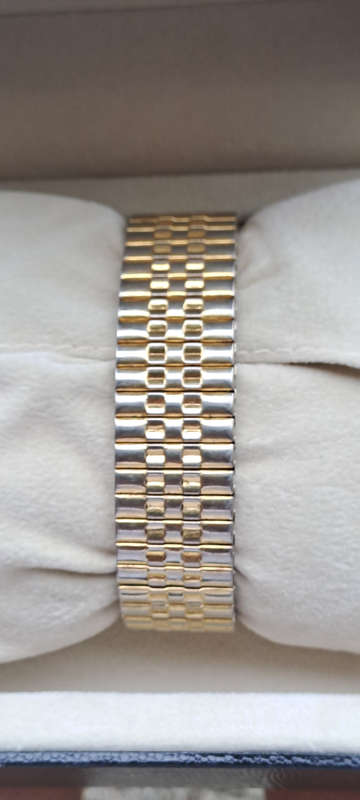 Santus 1970's 17 jewel Swiss mens watch