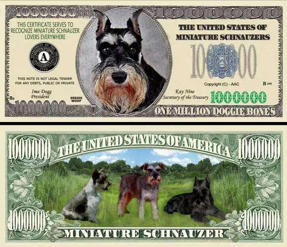 MINI SCHNAUZER DOG LOVERS NOVELTY MILLION DOLLAR BILL