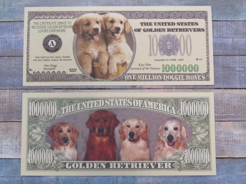GOLDEN RETRIEVER DOG LOVERS NOVELTY MILLION DOLLAR BILL
