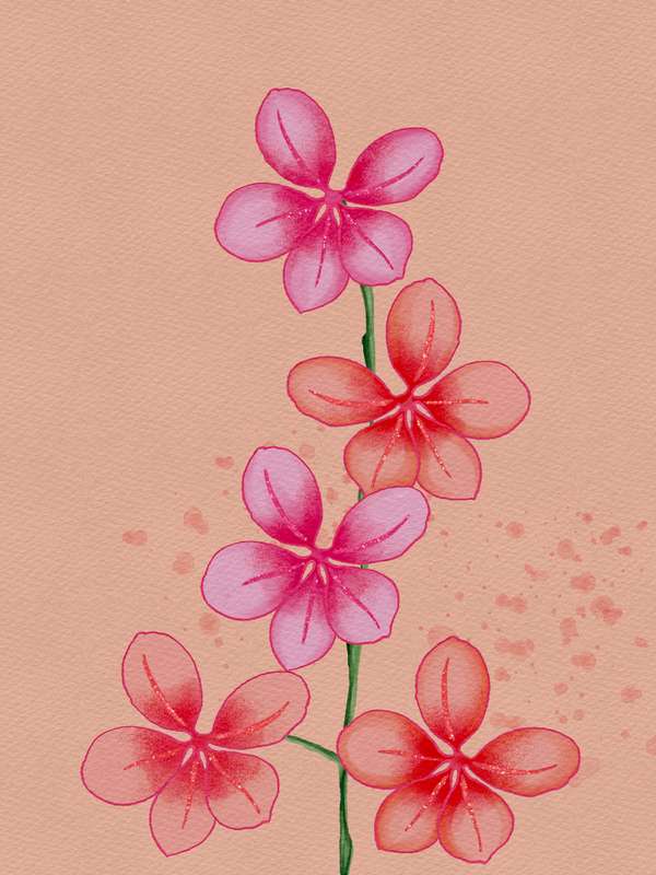 53 Procreate Watercolour Brushes for Digital Art