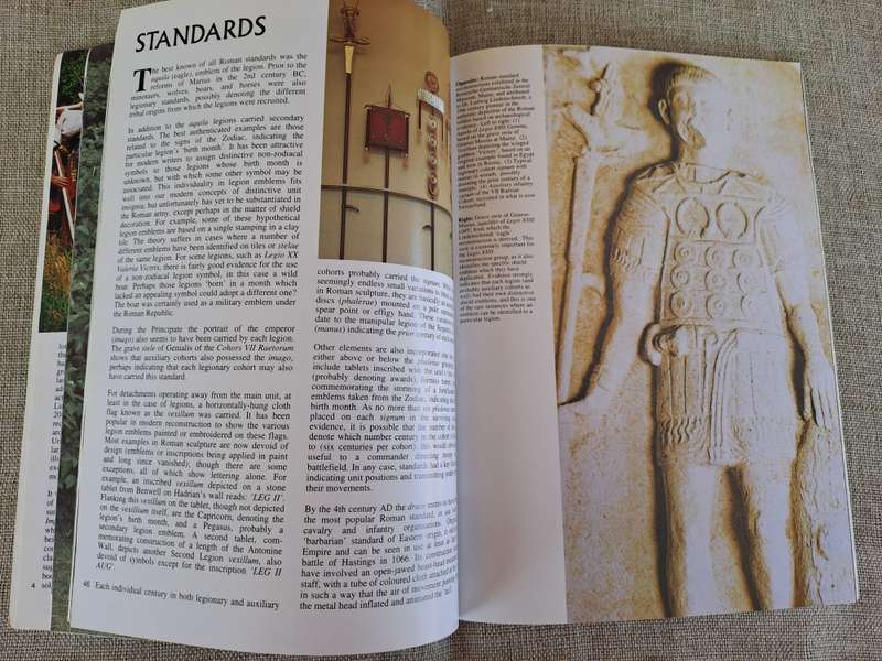 The Roman Legions Recreated in Colour - Daniel Peterson