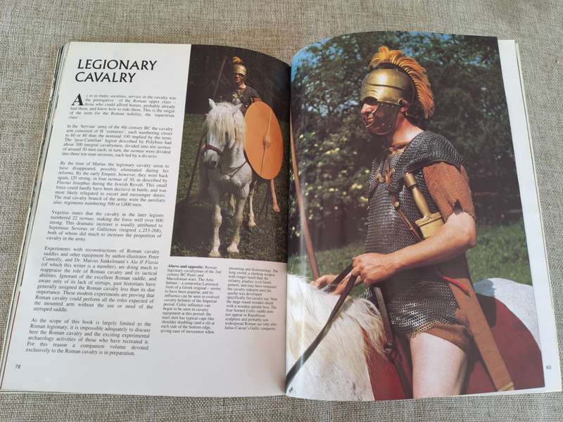 The Roman Legions Recreated in Colour - Daniel Peterson