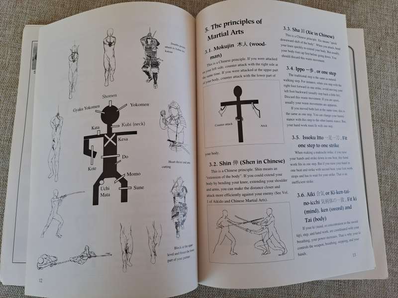 Aikido and Chinese Martial Arts - Aikido and Weapons Training Volume 2