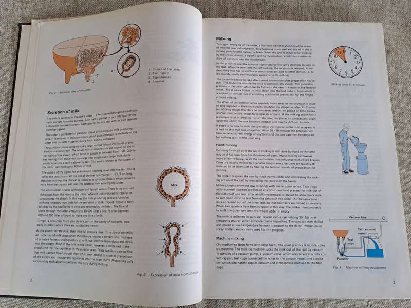 Dairy Handbook