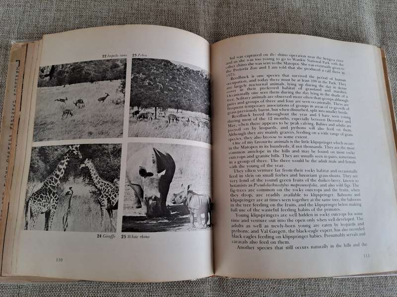 Orphans of the Wild: The Story behind Chipangali