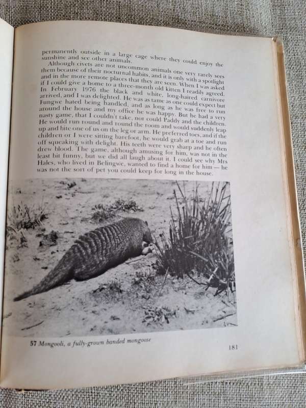 Orphans of the Wild: The Story behind Chipangali