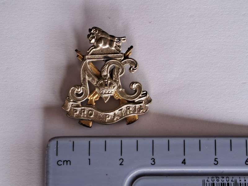 South Africa Natal Carbineers Pro Patria Cap Badge