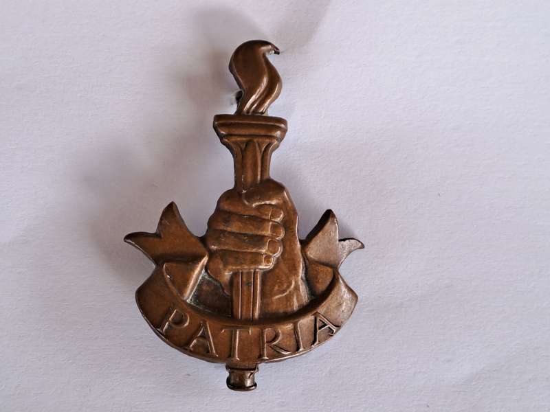 South African Army SADF Patria Badge