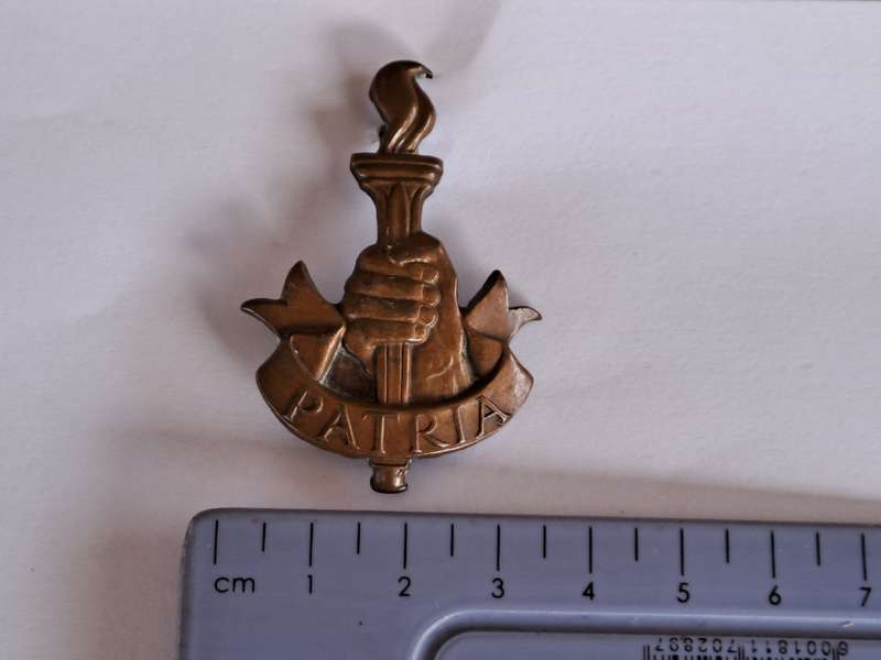 South African Army SADF Patria Badge