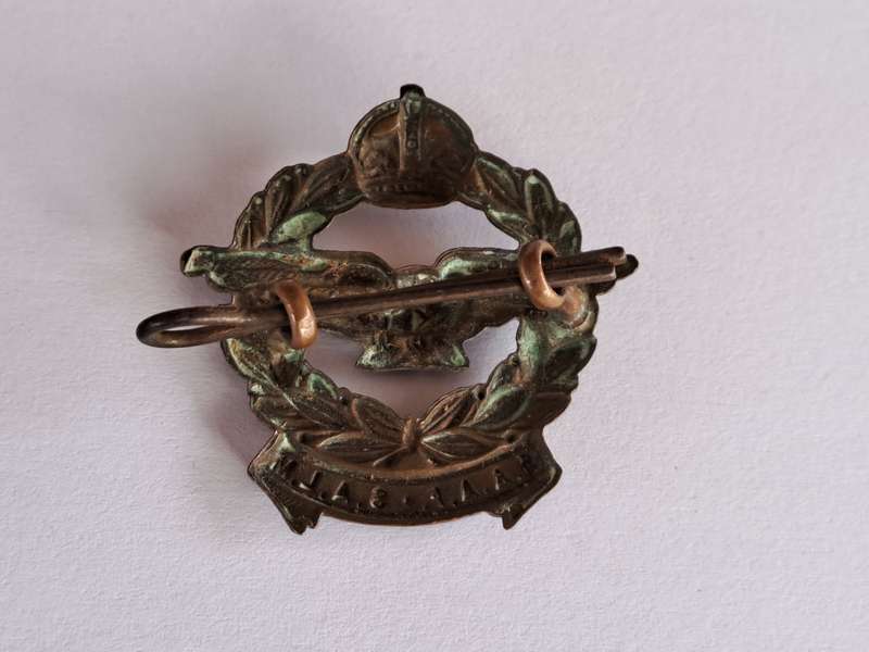SA Airforce Cap Badge SAAF-SALM