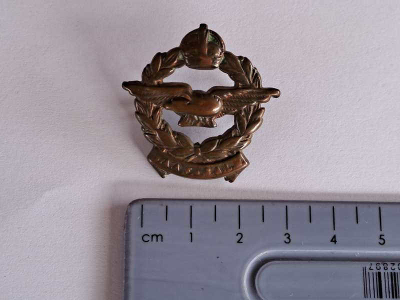 SA Airforce Cap Badge SAAF-SALM