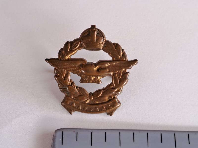 SA Airforce Cap Badge SAAF-SALM