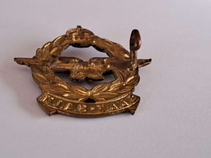 SA Airforce Cap Badge SAAF-SALM