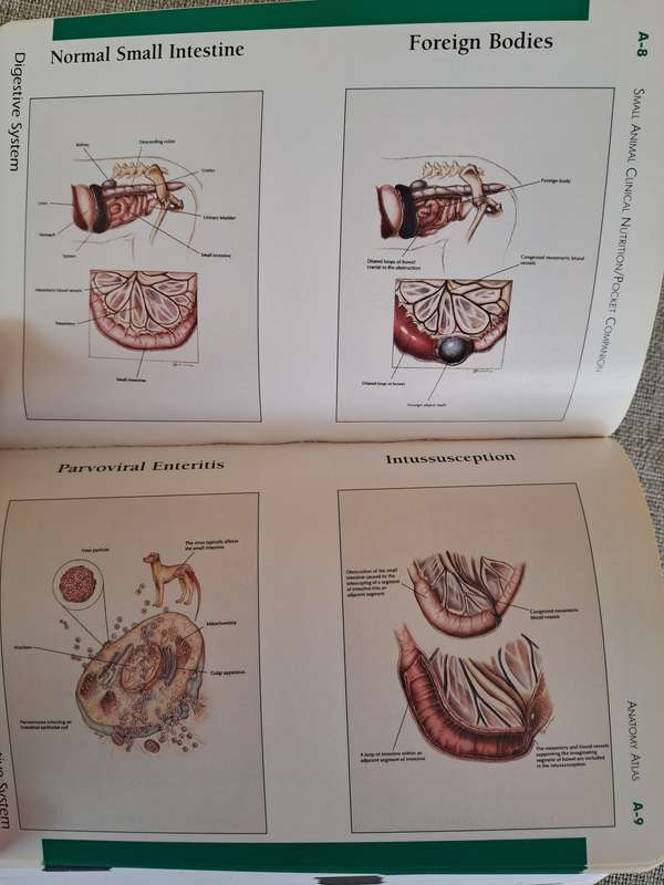 Pocket Companion to Small Animal Clinical Nutrition 4th Edition -  Bruce J. Novotny, Michael S. Hand