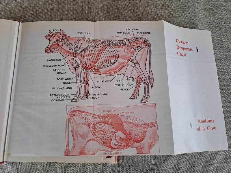 Dairy Farmer's Veterinary Book - Norman Barron