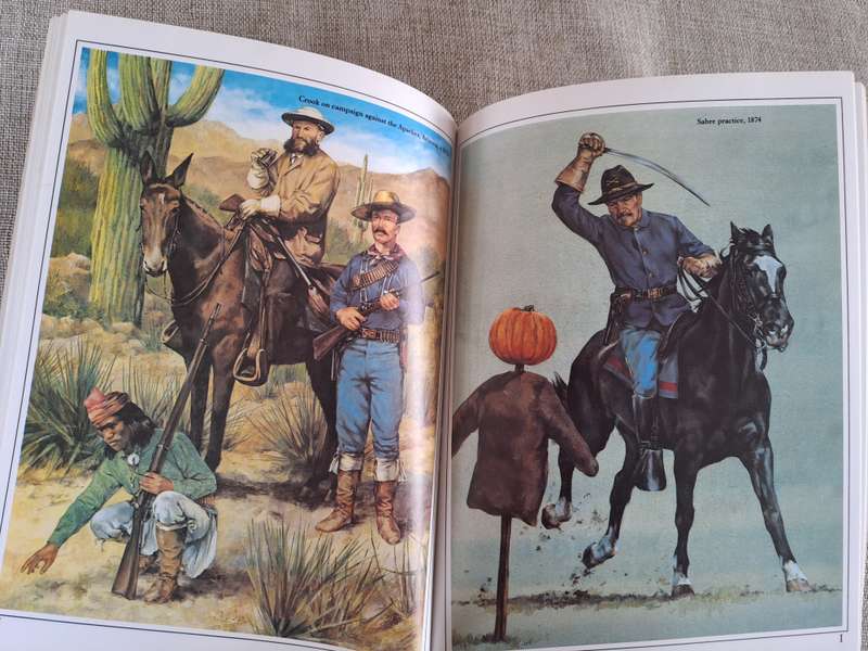 US Cavalryman 1865-1890 - Osprey Warrior Series #4
