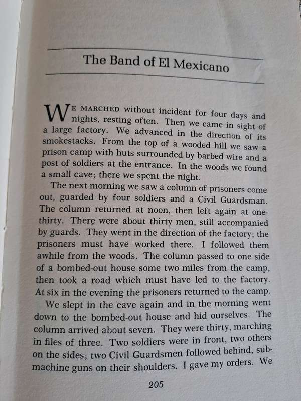 A Guerrilla Diary of the Spanish Civil War - Franciso Perez Lopez