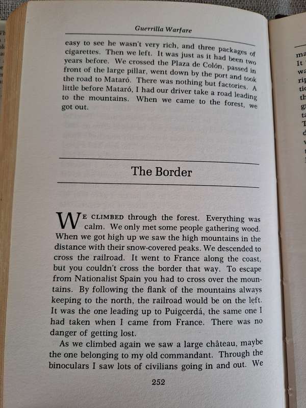 A Guerrilla Diary of the Spanish Civil War - Franciso Perez Lopez