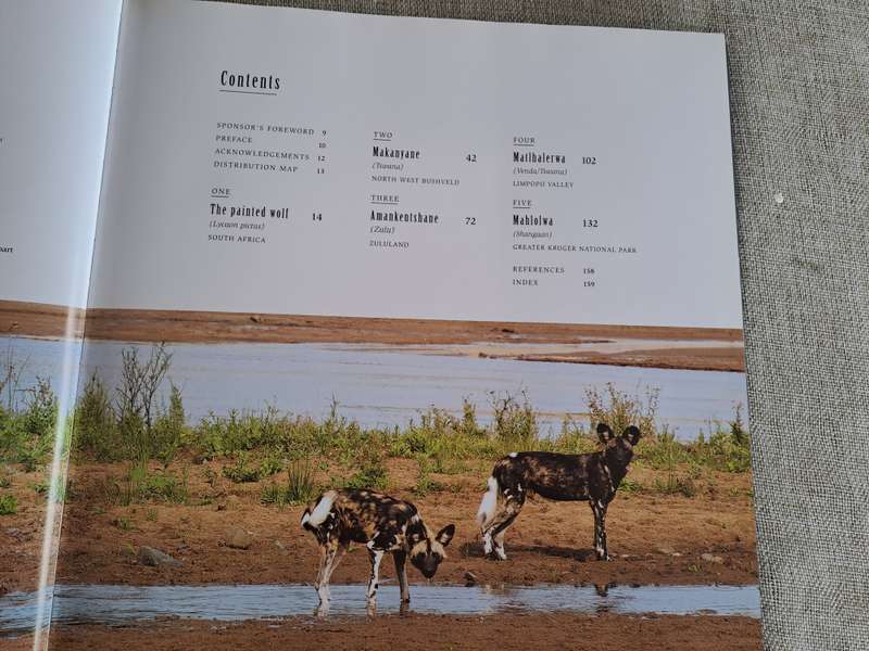 In Search of the African Wild Dog: The right to survive - Roger & Pat De La Harpe