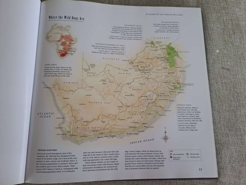 In Search of the African Wild Dog: The right to survive - Roger & Pat De La Harpe