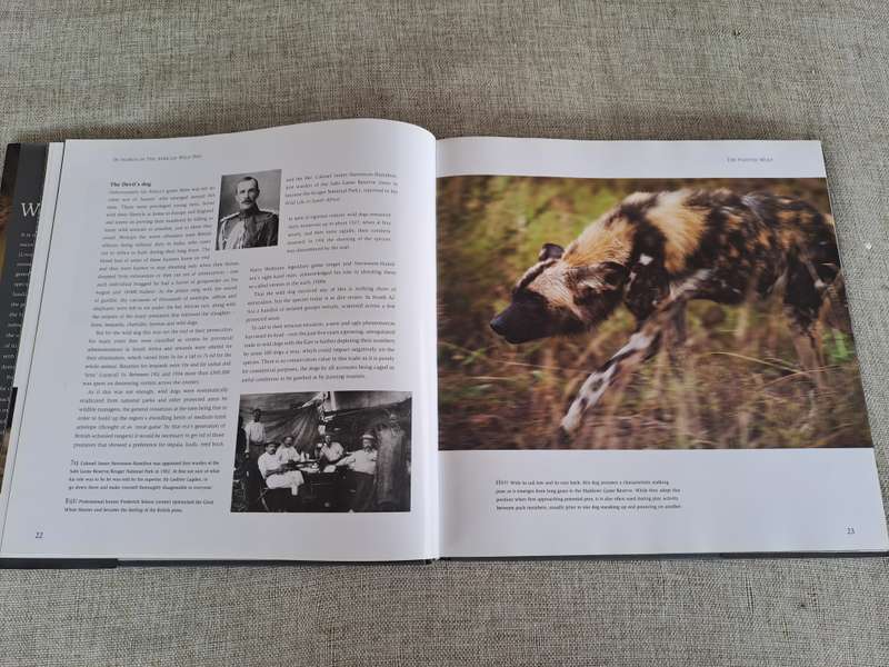 In Search of the African Wild Dog: The right to survive - Roger & Pat De La Harpe