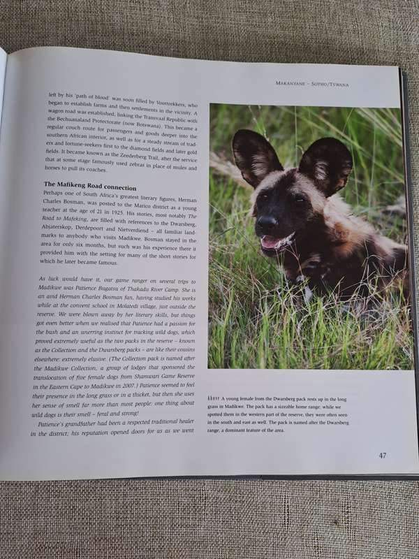 In Search of the African Wild Dog: The right to survive - Roger & Pat De La Harpe