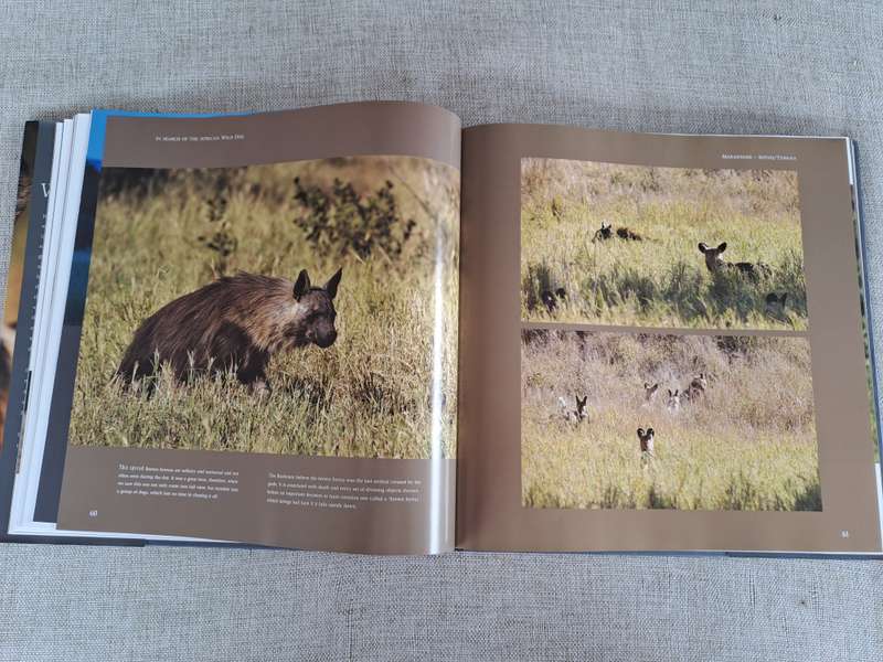 In Search of the African Wild Dog: The right to survive - Roger & Pat De La Harpe