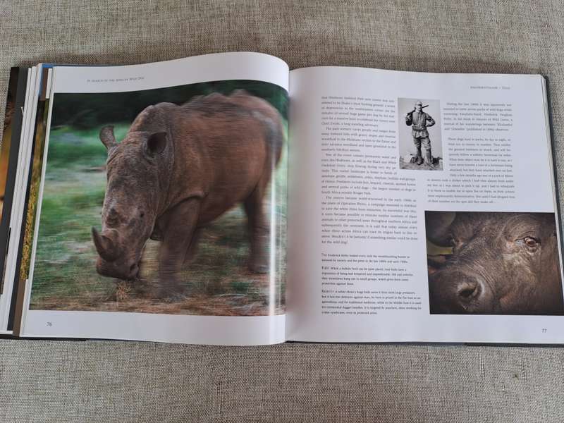 In Search of the African Wild Dog: The right to survive - Roger & Pat De La Harpe